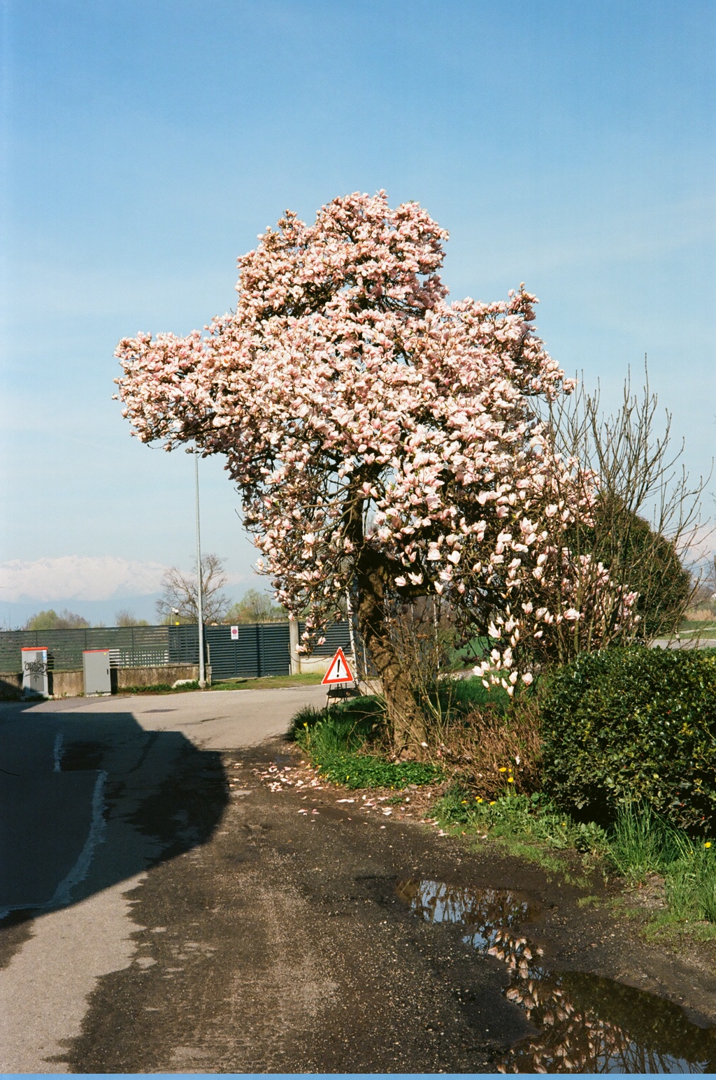Una giornata alla scuola di volo
