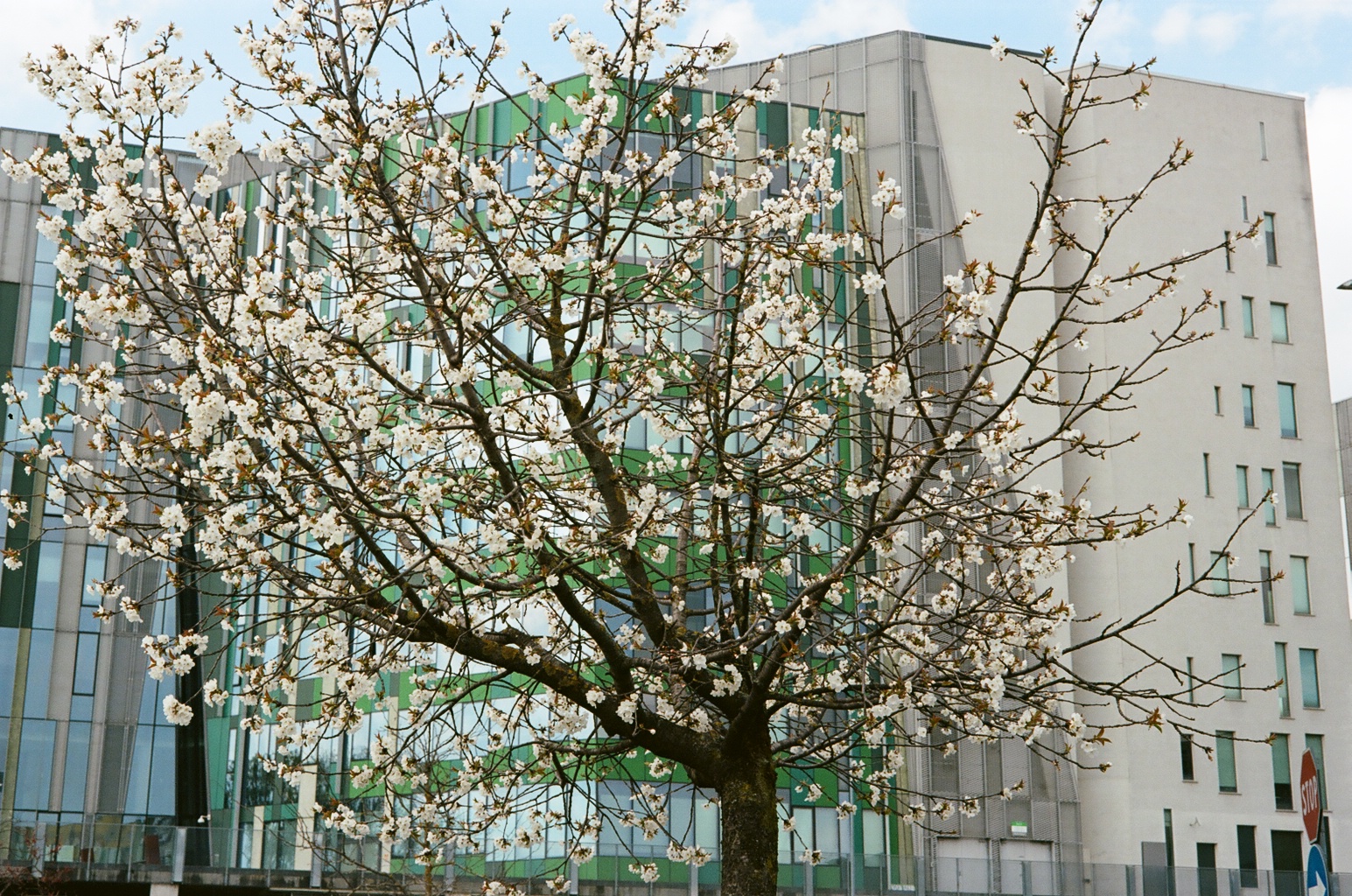 Palazzi Direzionali Milanesi