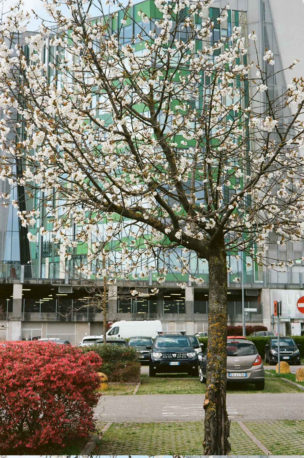 Palazzi Direzionali Milanesi