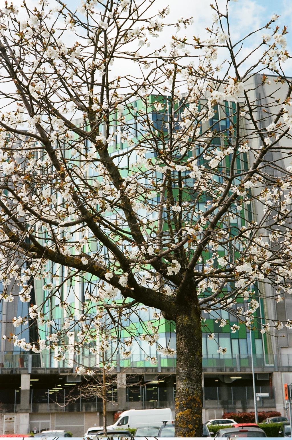 Palazzi Direzionali Milanesi