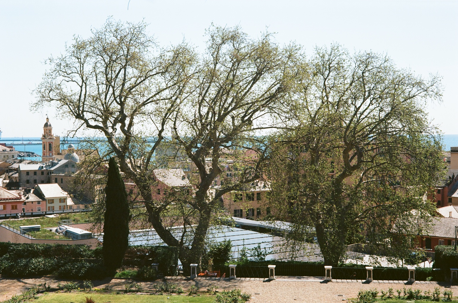 Orienteering Mensa Genova 2026