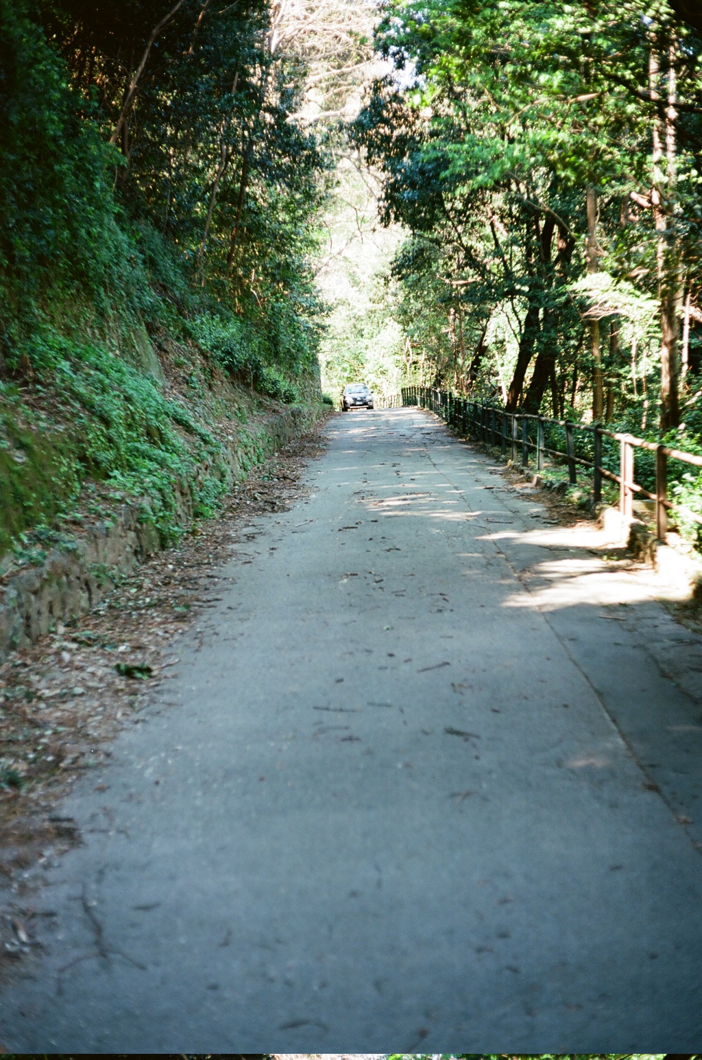 Orienteering Mensa Genova 2026