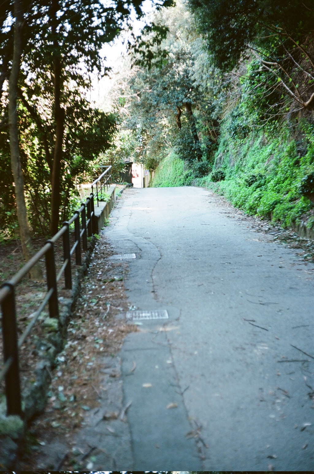 Orienteering Mensa Genova 2026