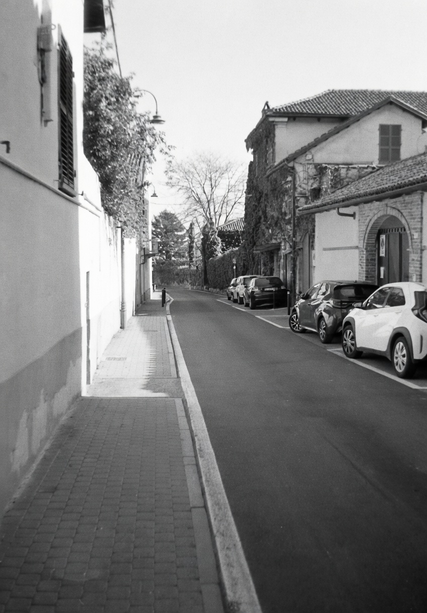 Camminata tra i ciliegi in fiore 2026